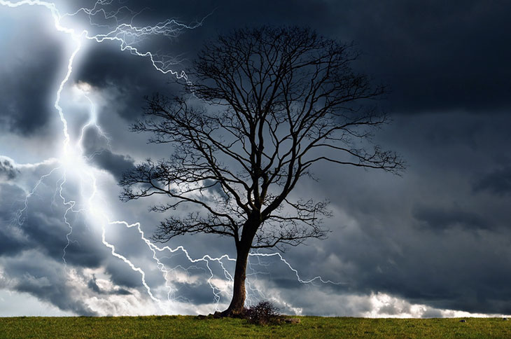 Arbre au cœur de l'orage avec éclairs