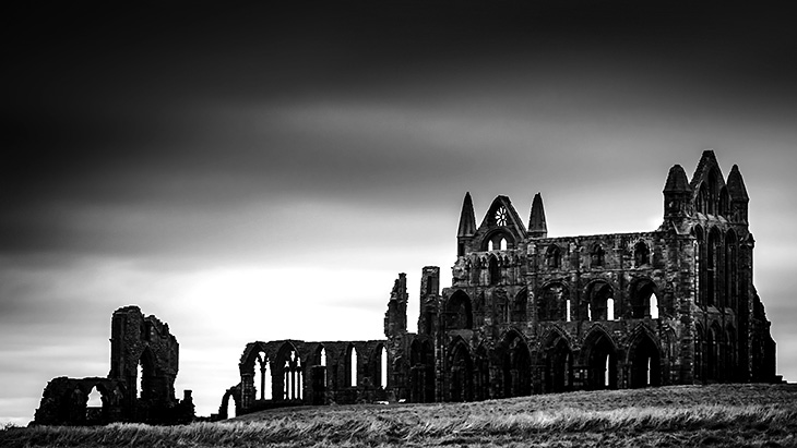 Autoportrait & Croquis Léonard de Vinci