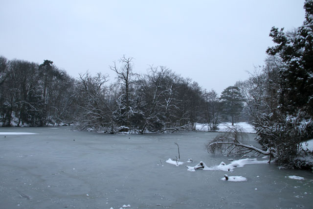 Lac Gelé et neige dans les arbres