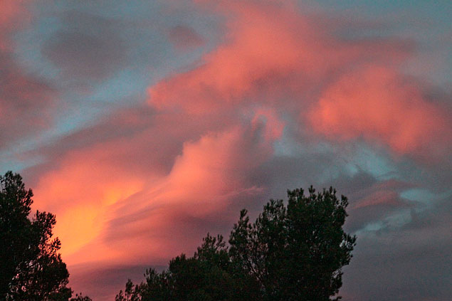 Nuages flamboyants coucher de soleil derrière des arbres