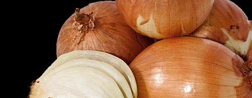 Oignons