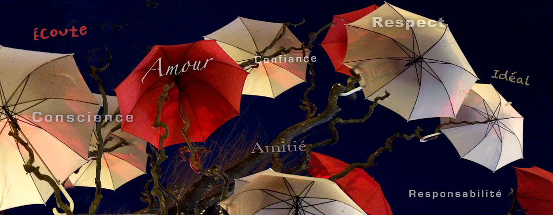 Comportements, Valeurs