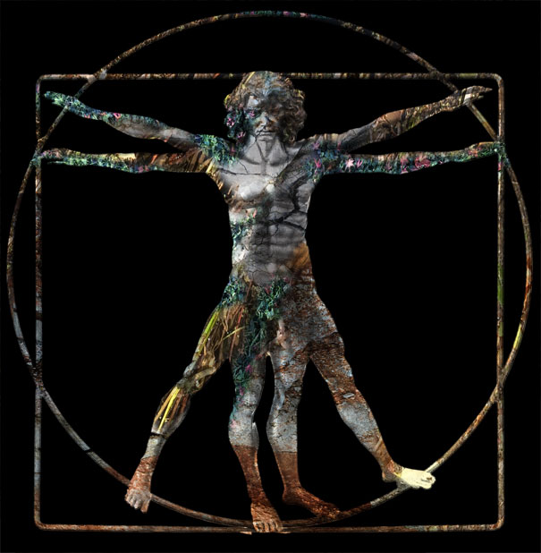 L'Homme Abouti composé des 3 règnes, d'après l'Homme de Vitruve - Léonard de Vinci